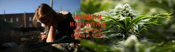 прущие грибы Аркадак