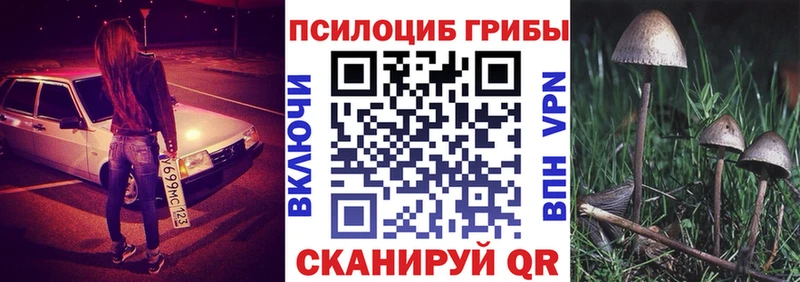 Галлюциногенные грибы Magic Shrooms  Урус-Мартан 